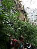 wandern