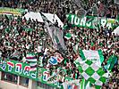 Rapid