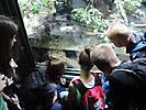 schoenbrunn 1ab