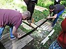 waldjugendspiele
