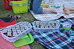 Picknick