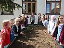 Hochbeet