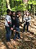 wald