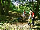 Wald