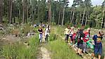 1. Kl. Wald