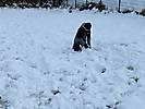 schnee