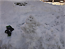 snowmen 2021