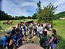 wildegg1