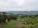 Wandertag 2ab